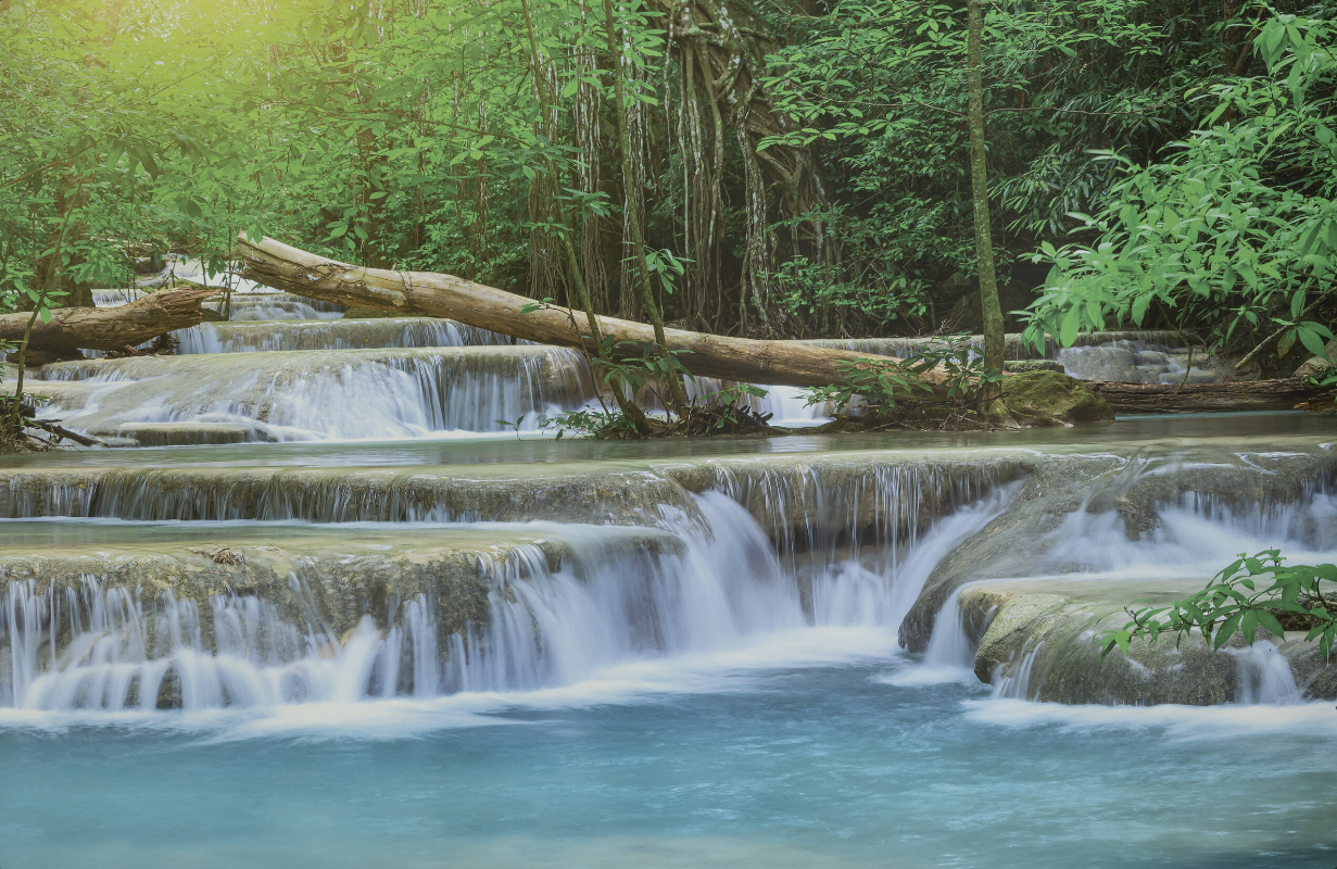 Snímek obrazovky 2026-02-11 092420